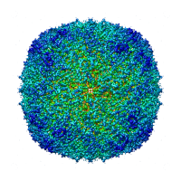 Apoferritin