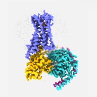 CB-1 GPCR