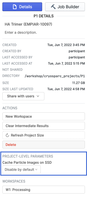 Disable project-level SSD caching